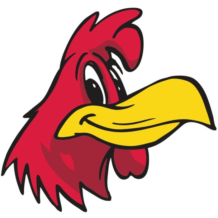 AR OTHER 30 RC Vignette