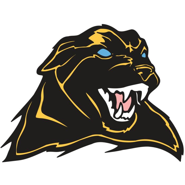 AR COUGAR 42 RC Vignette