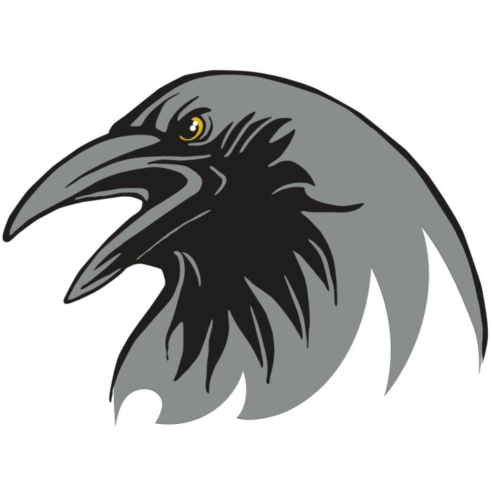 AR31 RAVEN 02 RQC Vignette