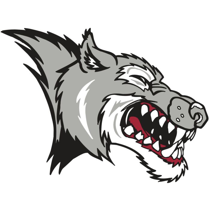 AR WOLF 15 RC Vignette