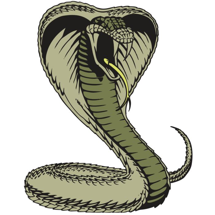 BAW SNAKE 07 RC Vignette