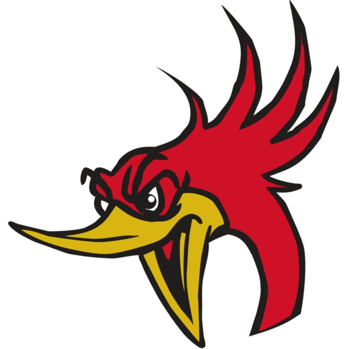 AR31 ROADRUNNER 02 RQC Vignette