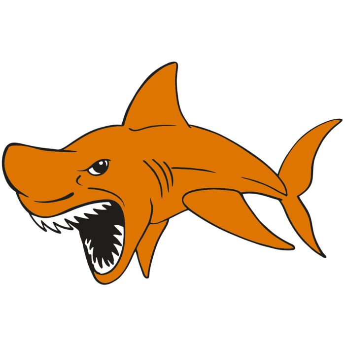 AR  SHARK 20 RC Vignette