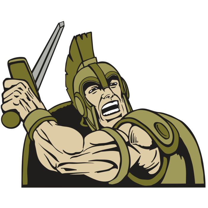 AR PALADIN 31 RC Vignette