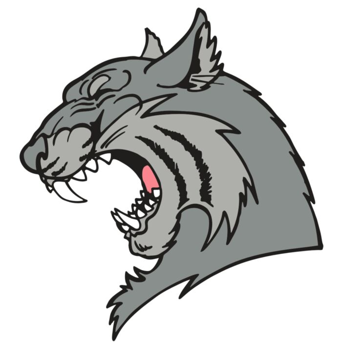 AR WILDCAT 41 RC Vignette