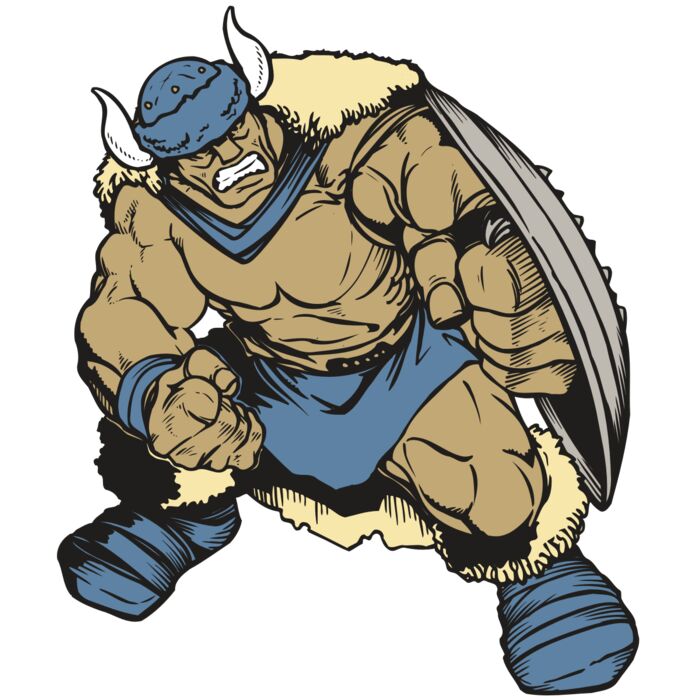 AR VIKING 36 RC Vignette