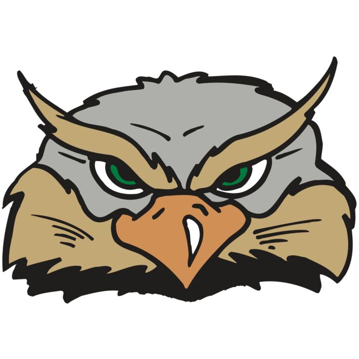 AR5 Owl 05 RQC Vignette