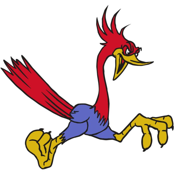 AR31 ROADRUNNER 01 RQC Vignette