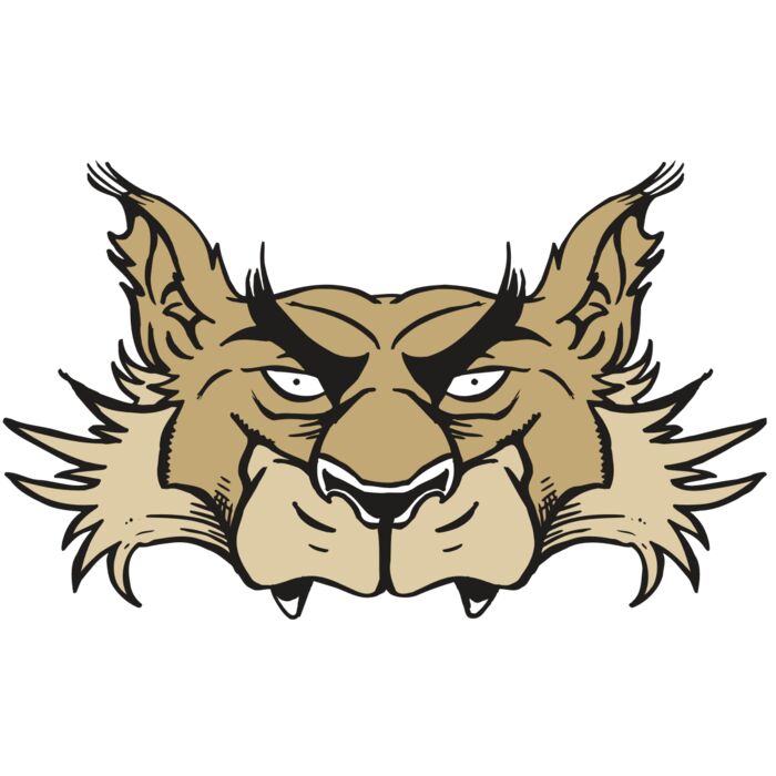 AR5 Wolf 28 RQC Vignette