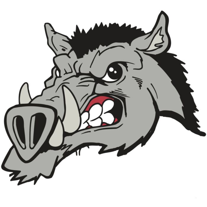 AR5 Razorback 14 RQC Vignette