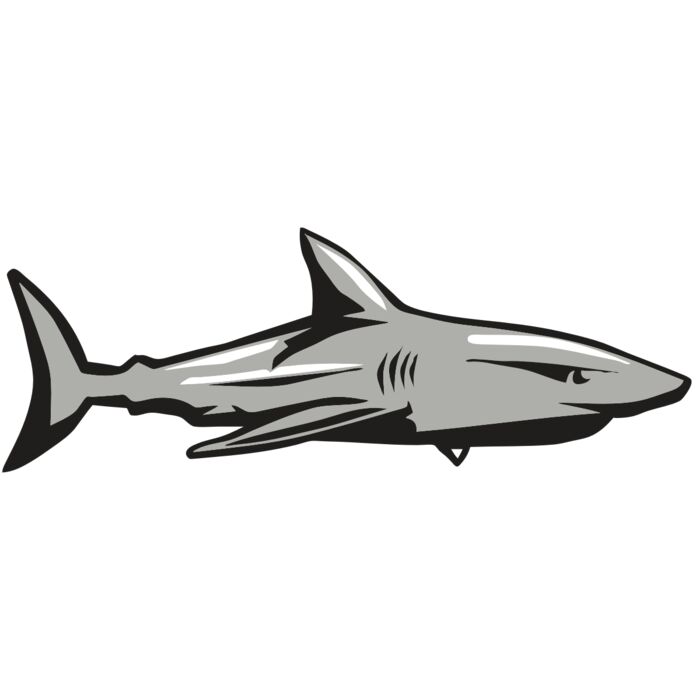 AR9 SHARK 01 RQC Vignette