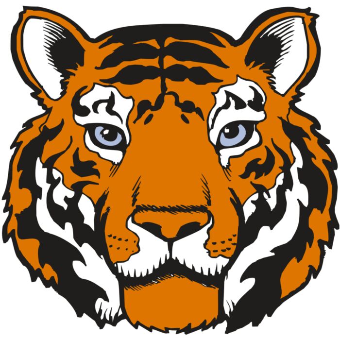 BAW TIGER 02 RC Vignette