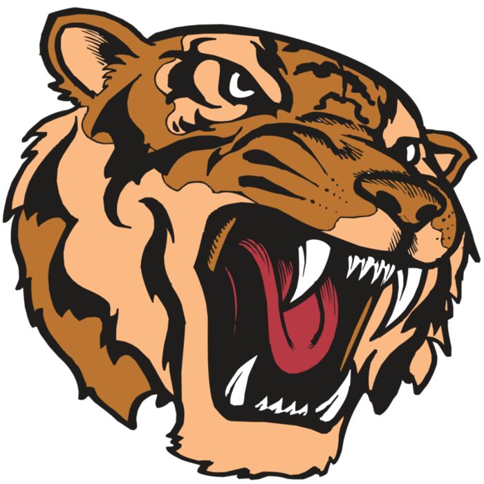 BAW TIGER 07 RC Vignette