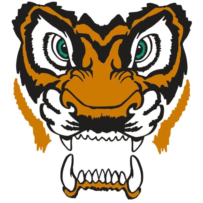 AR TIGER 11 RC Vignette