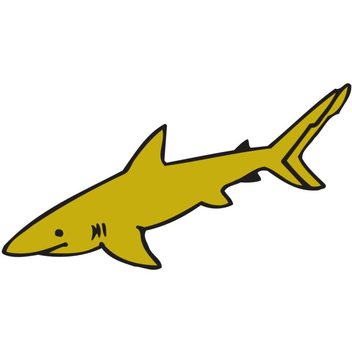 AR  SHARK 31 RC Vignette