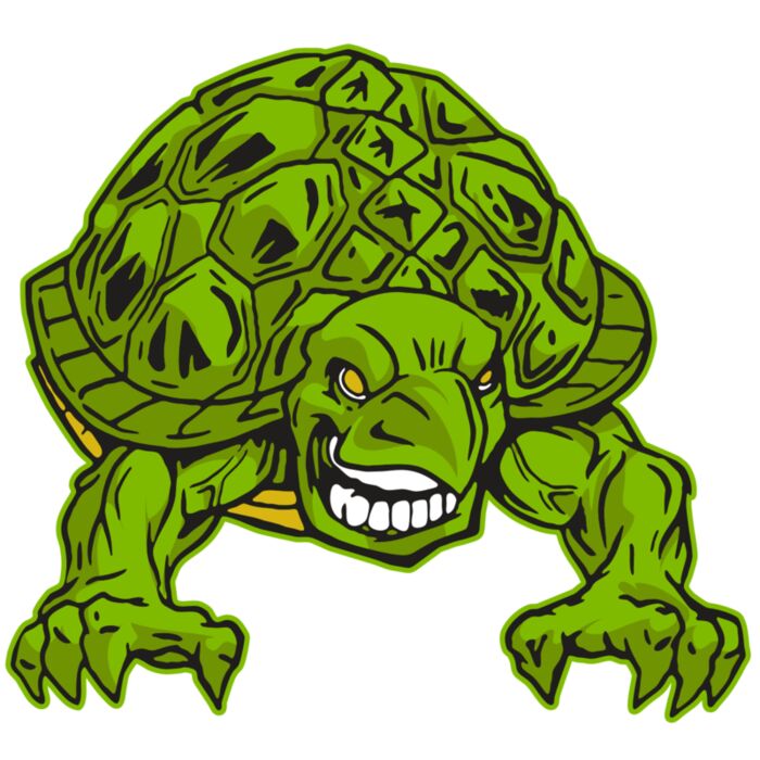 AR31 TURTLE 03 RQC Vignette