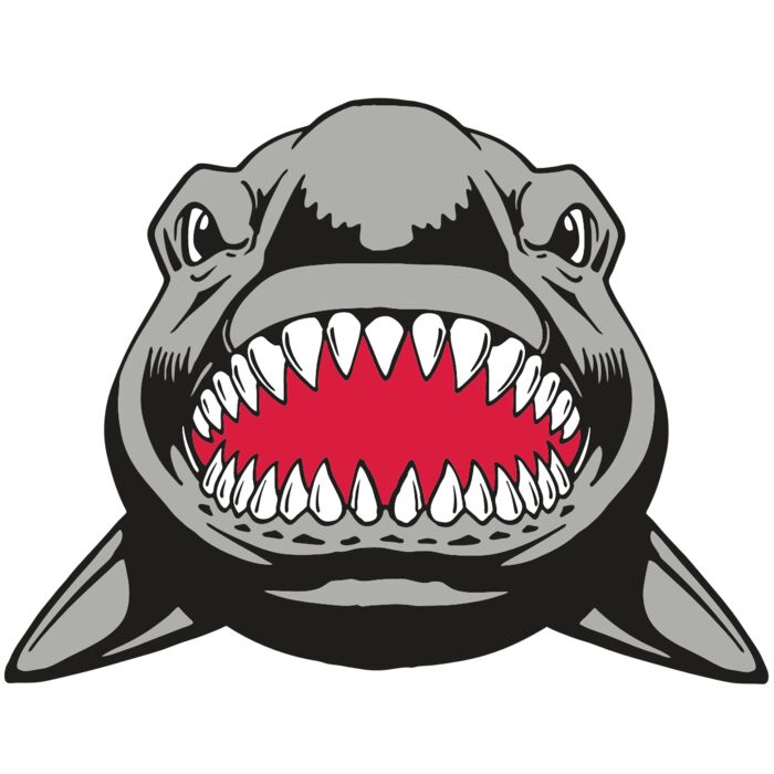 AR  SHARK 25 RC Vignette