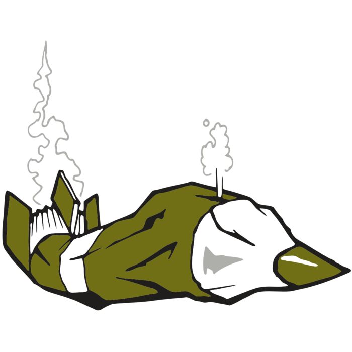 AR ROCKET 22 RC Vignette