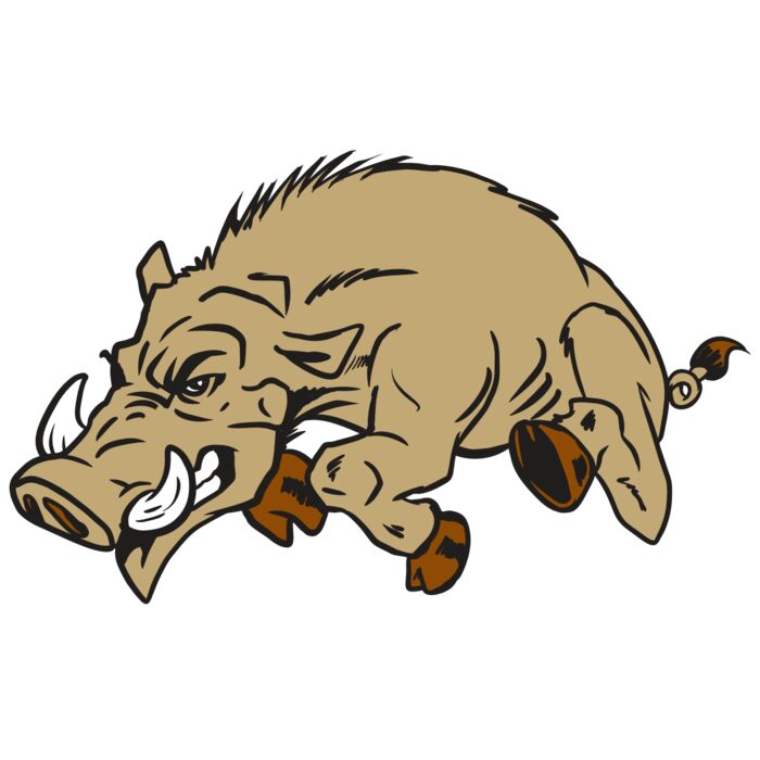 AR20 RAZORBACK 37 RQC Vignette