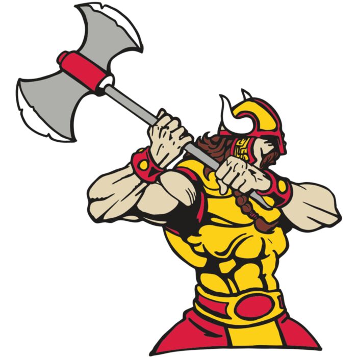 AR VIKING 42 RC Vignette