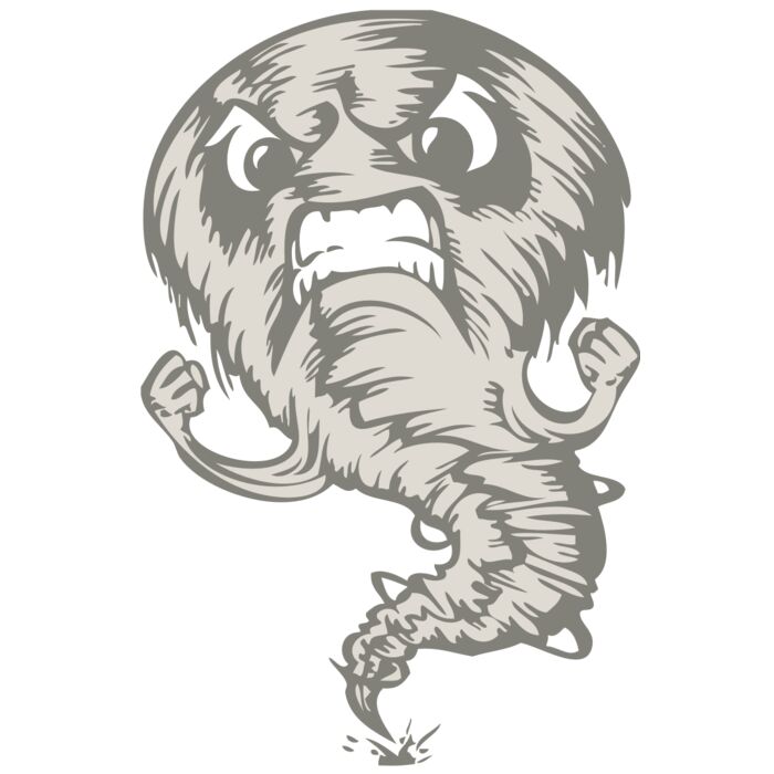 BAW STORM 07 RC Vignette