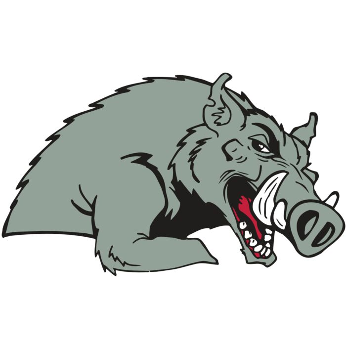 AR RAZORBACK 14 RC Vignette