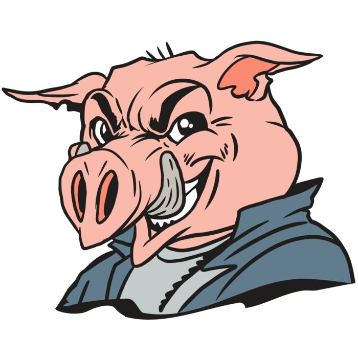 AR13 PIG 01 RQC Vignette