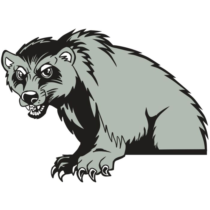 AR22 WOLVERINE 01 RQC Vignette