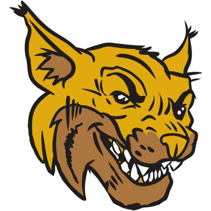 AR15 WILDCAT 01 RQC Vignette