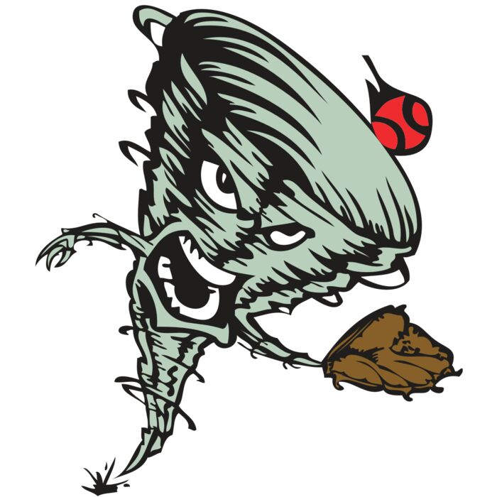 BAW STORM 09 RC Vignette