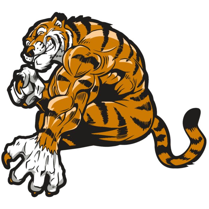 AR4 TIGER 09 RQC Vignette