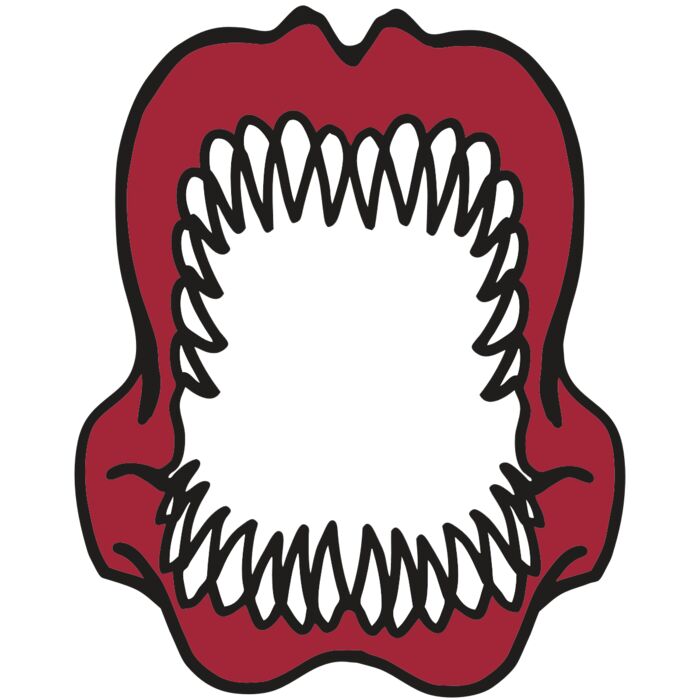 AR  SHARK 23 RC Vignette