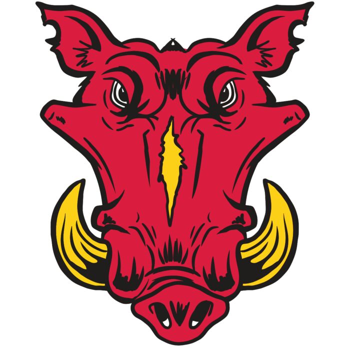 AR19 RAZOR 01 RQC Vignette