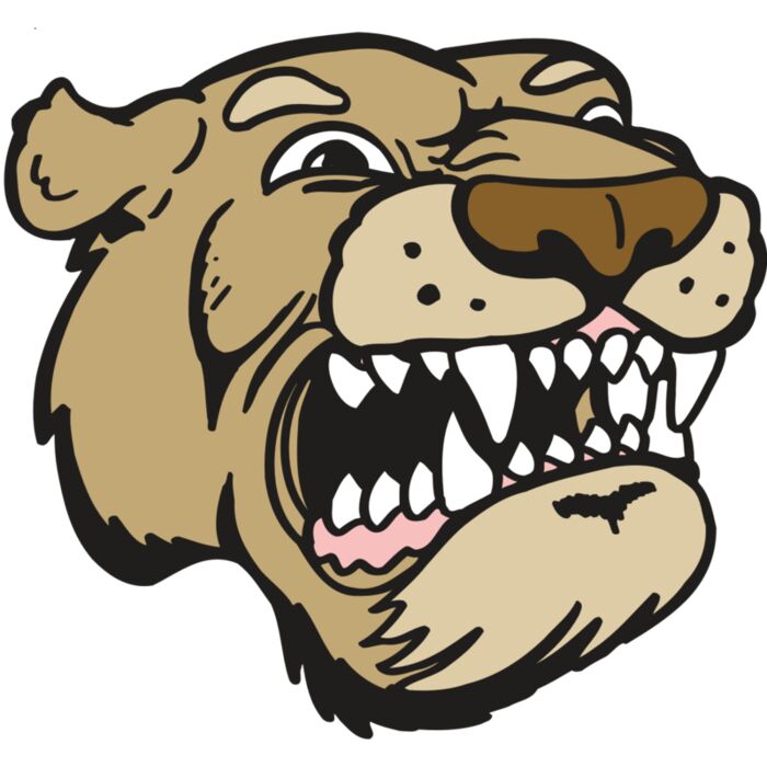 AR5 COUGAR 04 RQC Vignette