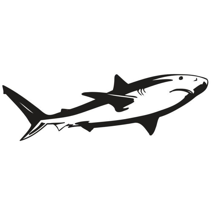 AR5 Shark 15 RQC Vignette