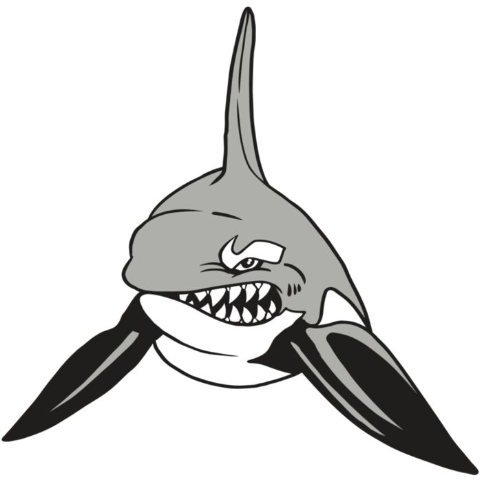 AR19 ORCA 03 RQC Vignette