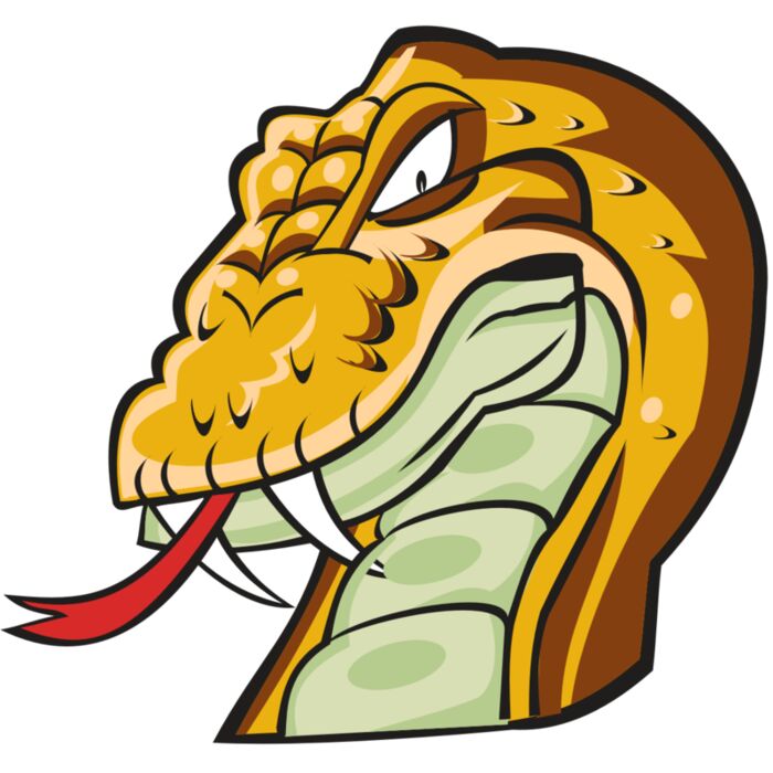 SNAKE HD0501 RQC Vignette