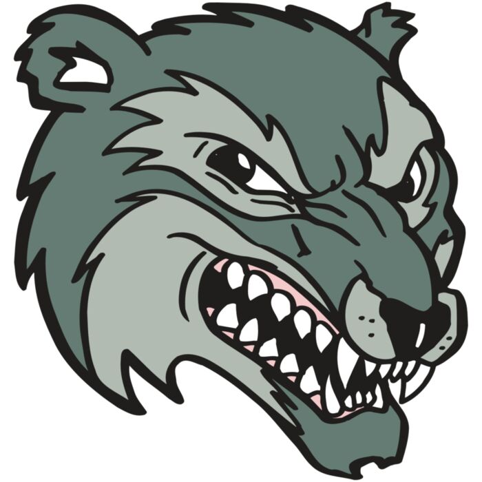 AR5 Wolverine 14 RQC Vignette