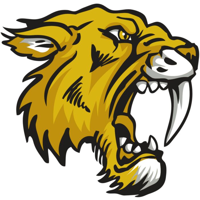 AR30 SABER 03 RQC Vignette