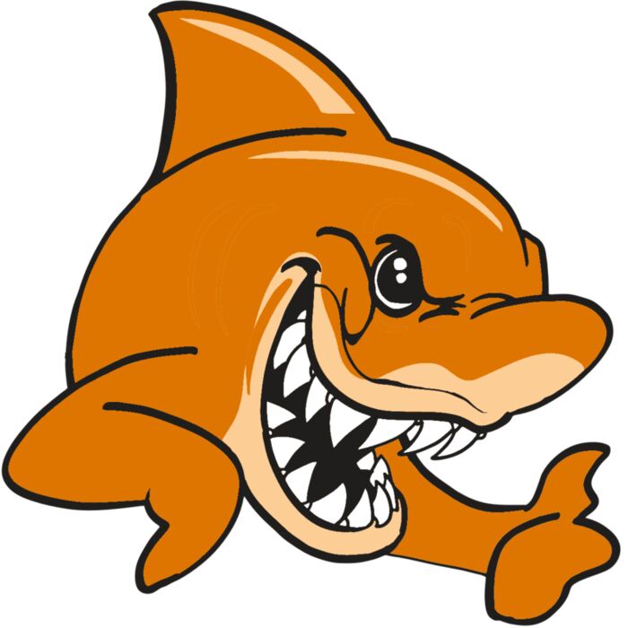 AR  SHARK 28 RC Vignette