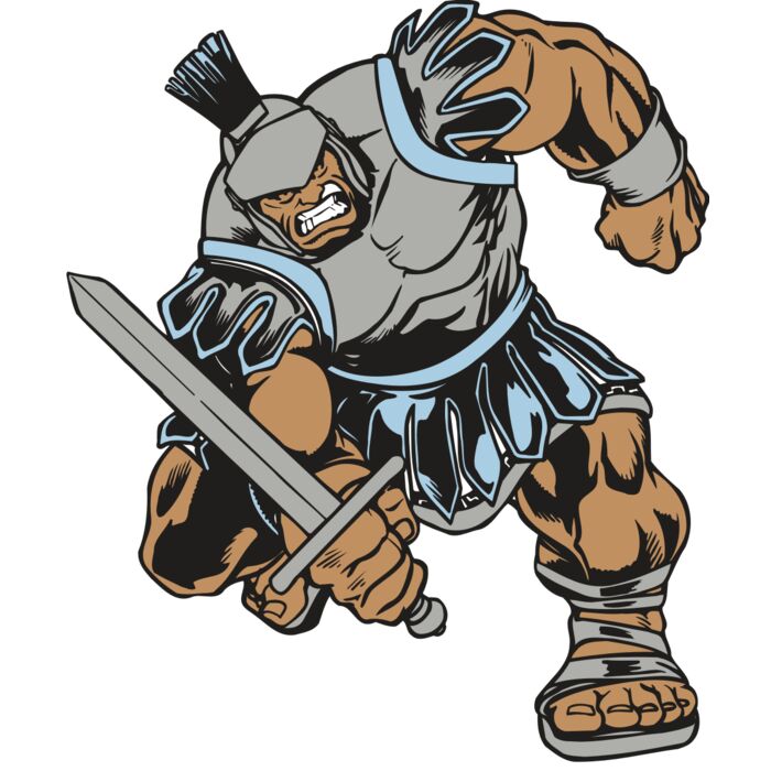 AR PALADIN 16 RC Vignette