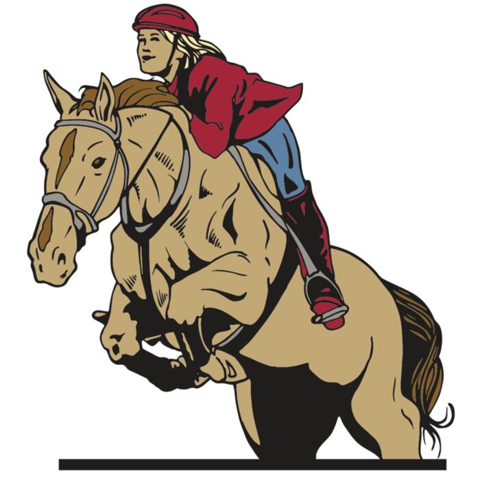 AR EQUEST 12 RC Vignette