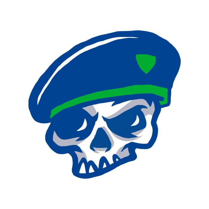 Elements Skulls logo template 100 Vignette