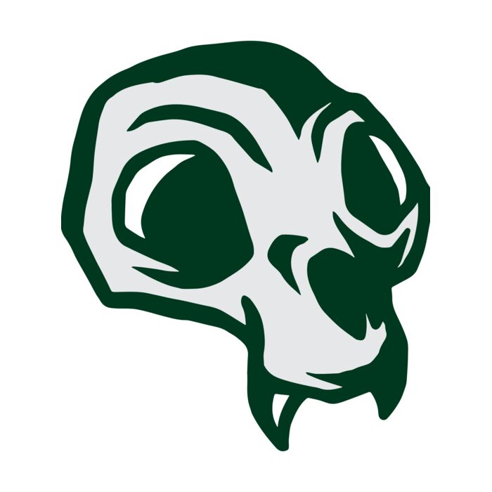 Elements Skulls logo template 144 Vignette