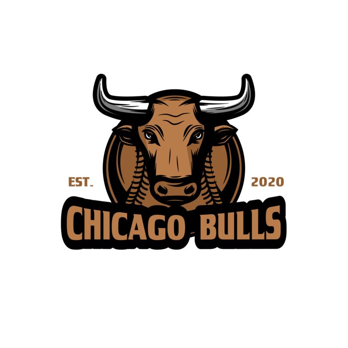 Baseball Logo Team 13 Vignette