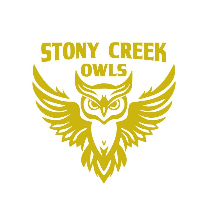 School Owls 04 Vignette