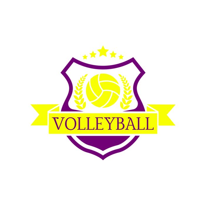 Volleyball 10 Vignette