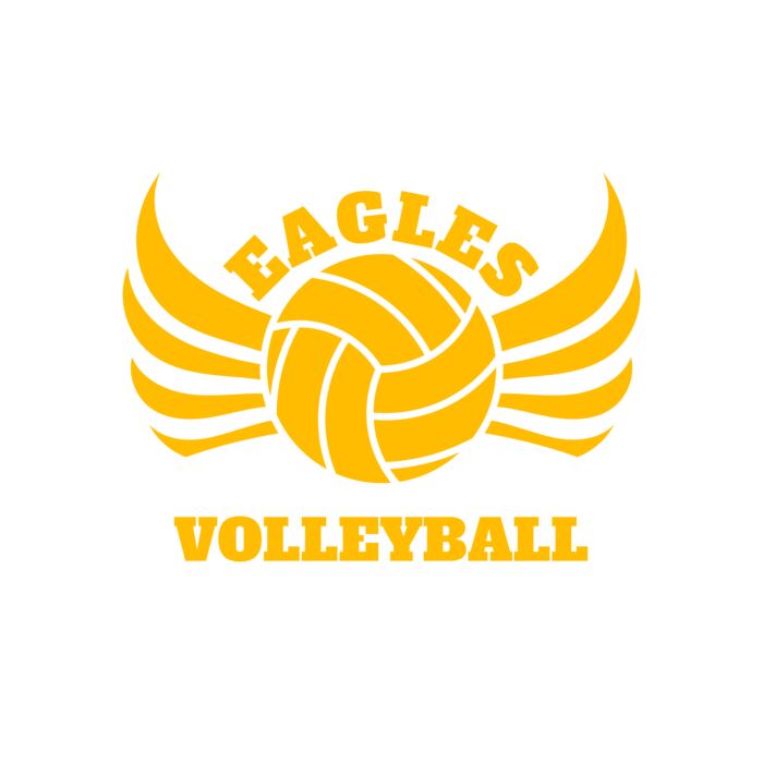 Volleyball 11 Vignette