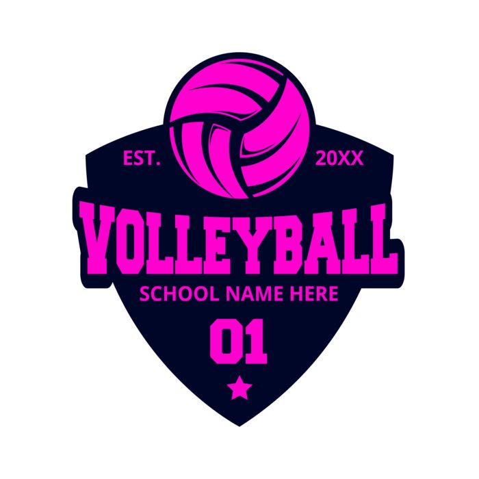 Volleyball 20 Vignette