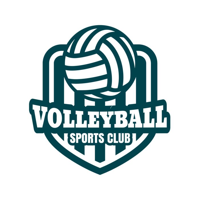 Volleyball 35 Vignette